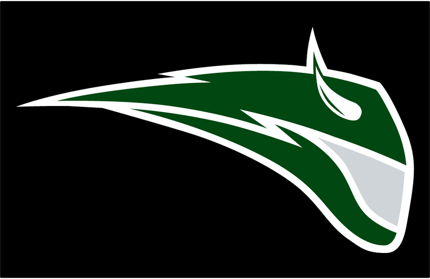 Portland State Vikings 2001-2015 Helmet Logo diy iron on heat transfer
